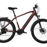Bicyklet Raymond Rouge Bordeaux