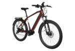 Bicyklet Raymond Rouge Bordeaux – Image 3