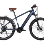 Bicyklet Raymond Bleu Matt Night