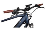 Bicyklet Raymond Bleu Matt Night – Image 7