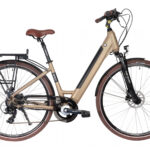 Bicyklet Carmen Marron Tan