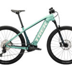 Trek Powerfly 5 Vert Sauge Gén 4 - 2023